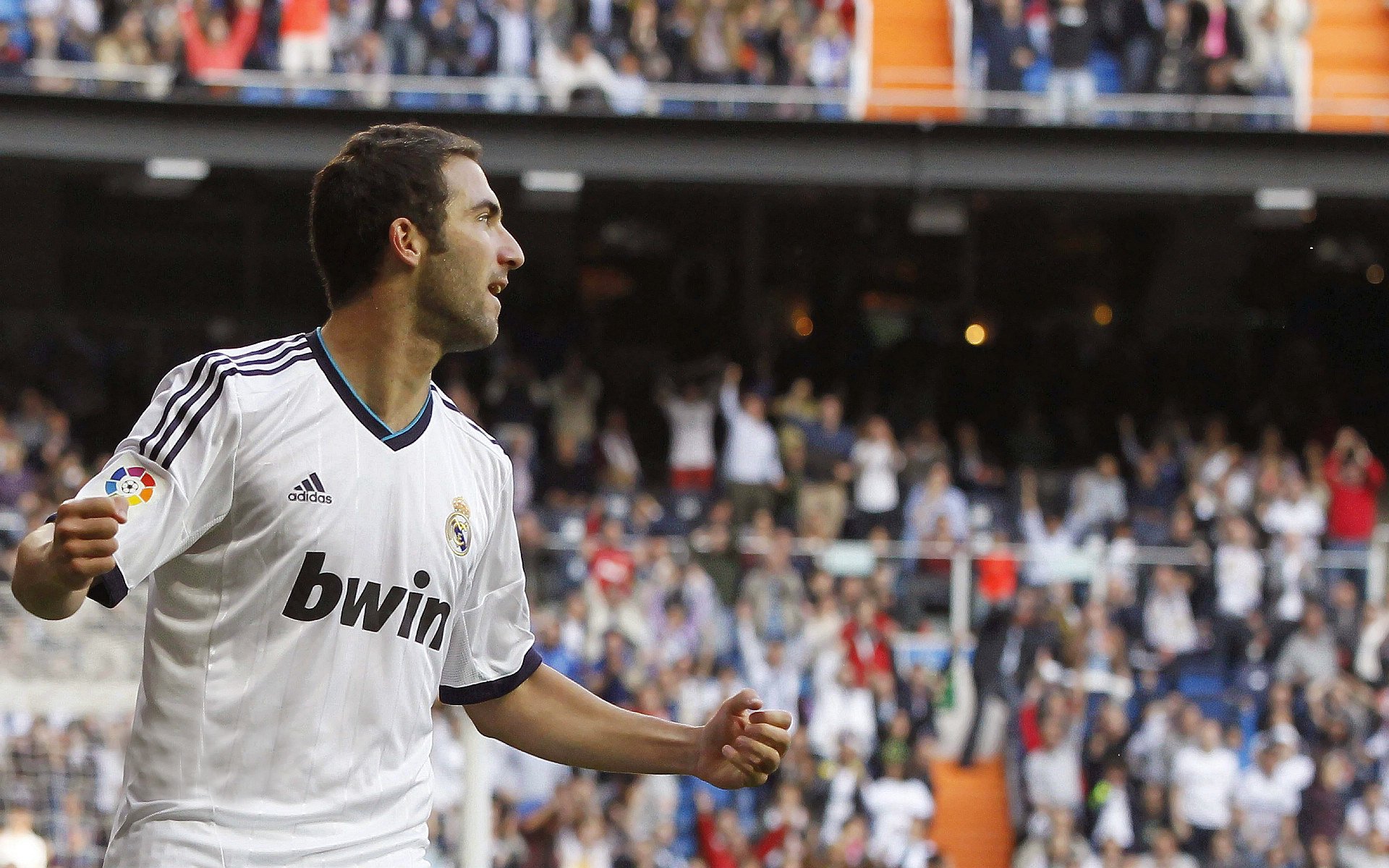 布克的权杖,当太阳国王在雷霆之巅加冕