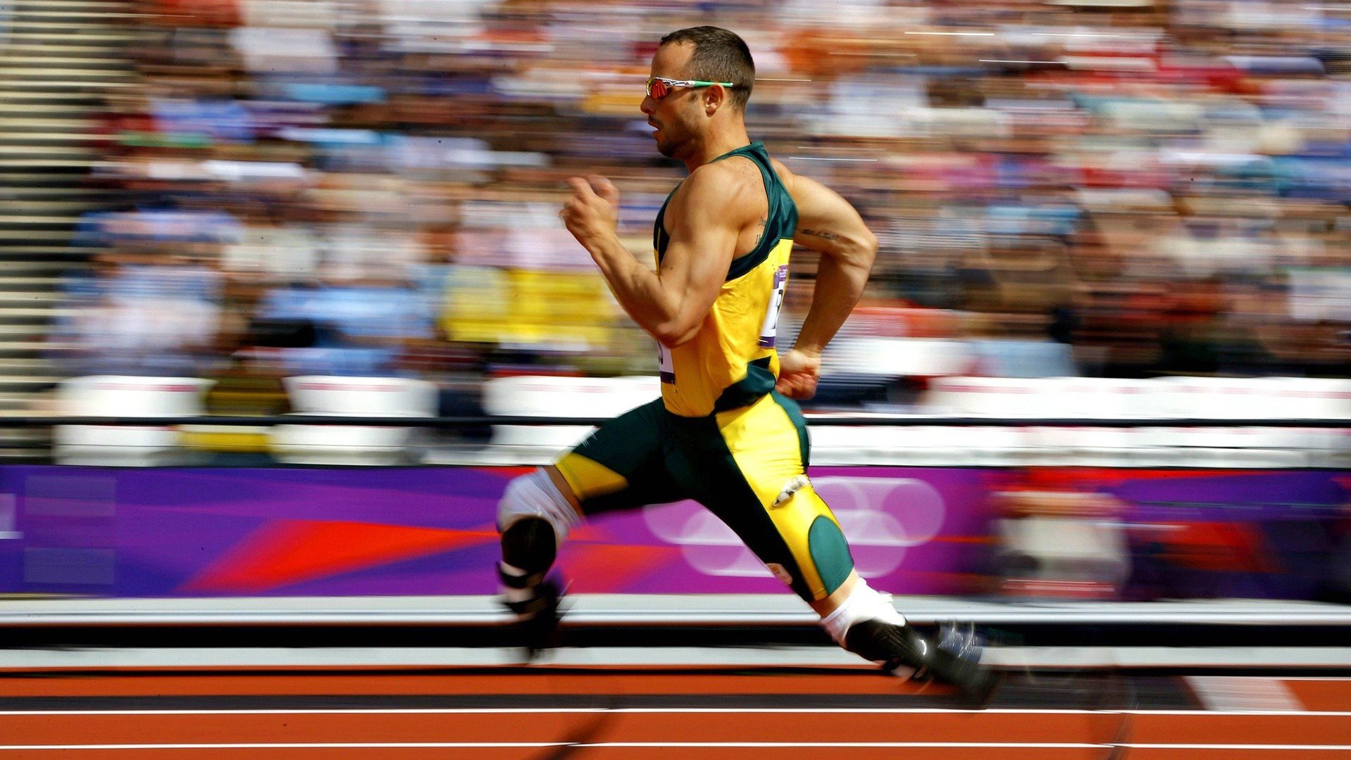 布克的权杖,当太阳国王在雷霆之巅加冕